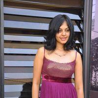 Bindu Madhavi Hot in Pink Gown Dress - Pictures | Picture 120938
